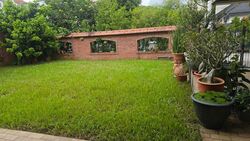 Camelia Park (D28), Terrace #517984261